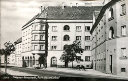 Wiener Neustadt - Pernerstorferhof (000118) - Wiener Neustadt