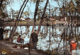 93-GAGNY- LE LAC DE MAISON BLANCHE - Gagny