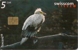 CARTE-PUCE-SUISSE-5CHF-VAUTOUR PERCNOPTERE-TBE- - Arenden & Roofvogels