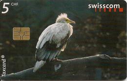 CARTE-PUCE-SUISSE-5CHF-VAUTOUR PERCNOPTERE-TBE- - Aigles & Rapaces Diurnes