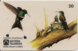 CARTE-MAGNETIQUE-BRESIL-3/97-OISEAU MOUCHE-TBE - Pájaros Cantores (Passeri)