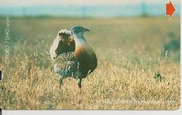 CARTE-MAGNETIQUE-TURQUIE-1999--FAISAN-BE - Gallinaceans & Pheasants