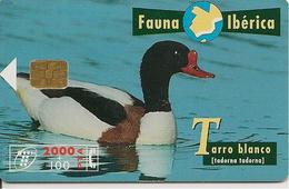 CARTE-PUCE-ESPAGNE-06/98-CANARD-TARRO BLANCO-TBE - Gallináceos & Faisanes