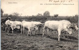 FOLKORE --  MORVAN -- A Travers Le Morvan - Attelage De Boeufs - Sonstige & Ohne Zuordnung