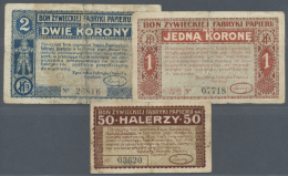 Poland / Polen: Set Of 3 Notes Local Issue For Zywiec Containing 50 Halerzy, 1 And 2 Korona 1919, All Well Used But Stil - Pologne