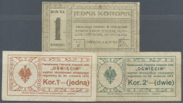 Poland / Polen: Set Of 3 Regional Issue Notes For Auschwitz Oswiecim Containing 2 Different 1 Korona 1919 And 2 Korona 1 - Pologne