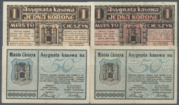 Poland / Polen: Set Of 4 Notes Regional Isses For Cieszyn Containing 2x 50 Halerzy (F+) And 2x 1 Korona 1919 (aUNC And F - Pologne