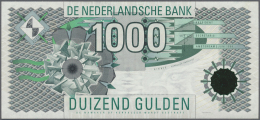Netherlands / Niederlande: 1000 Gulden 1994 P.102, In Great Crisp Original Condition: UNC. - Other & Unclassified