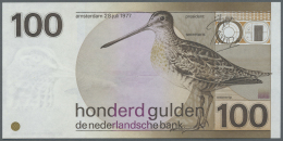 Netherlands / Niederlande: 100 Gulden 1977 P. 97, One Crease In Paper At Upper Center (but Surely A Paper Failure, Not A - Altri & Non Classificati