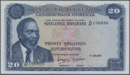 Kenya / Kenia: 20 Shillings 1973 P. 8d, Light, Center Fold, Light Creases At Upper Border, Condition: XF. - Kenia