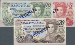 Falkland Islands / Falkland Inseln: Set Of 3 SPECIMEN Banknotes Containing 5 Pounds 1983 P. 12s, 10 Pounds 1986 P. 14s A - Falkland Islands