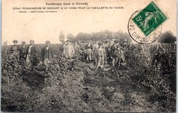 FOLKORE -- Vendanges Dans La Gironde - Vendangeurs Se Rendant à La Vigne Pour La Cueillette Du Raisin - Other & Unclassified