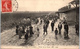 FOLKLORE -- Médoc - Scènes De Vendanges - Retour De La Vigne - Other & Unclassified