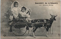 FOLKLORE -- LIMOUSIN - Souvenir - Autres & Non Classés