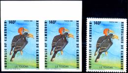 BIRDS-BLACK CASQUED HORNBILL-IMPERF PAIR WITH A STAMP-CAMEROON-1985-MNH-D4-05 - Piciformes (pájaros Carpinteros)