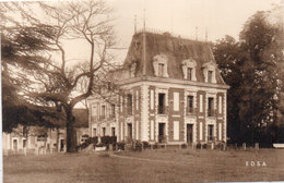 COULANGES SUR YONNE - Propriété De Misery     (96945) - Coulanges La Vineuse