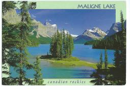 Maligne Lake Canadian Rockies - Modern Cards