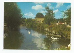 Gironde - 33 - Lesparre Promenade - Lesparre Medoc