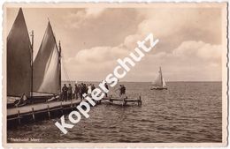 Steinhuder Meer  1937  (z4084) - Steinhude