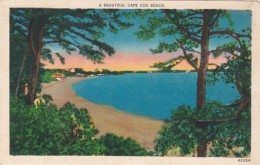 Massachusetts Cape Cod Bass Beautiful Beach Scene - Cape Cod