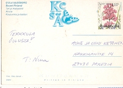 Finland & Postal, Oulu Uleaborg, Panezia (757) - Briefe U. Dokumente