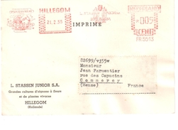 3900 HILLEGOM Hollande Pays Bas Flamme Empreinte Machine Illustrée Tulipe Fleurs Globe Carte Postale Imprimé 21 2 1955 - Other & Unclassified