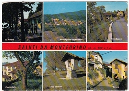 SALUTI DA MONTEGRINO - LUINO - VARESE - 1979 - Luino
