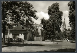 A4219 - Alte Foto Ansichtskarte - Eichwalde Kr. Königs Wusterhausen TOP - Eichwalde