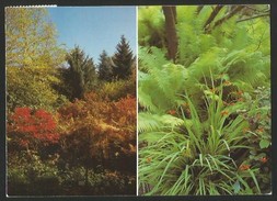 GRÜNINGEN ZH Hinwil Botanischer Garten Im Eichholz Stiftung Zürcher Kantonalbank 1983 - Hinwil