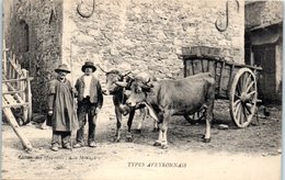 FOLKLORE  -- AVEYRON -- Types Aveyronnais - Altri & Non Classificati