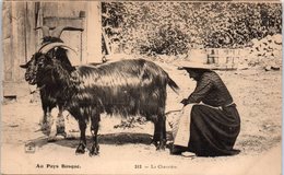 Delcampe - FOLKLORE  -- AU PAYS BASQUE -- N° 212 -  La Chevrière - Personaggi