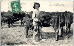 FOLKLORE -- AVEYRON Pittoresque - N) 65 - Sur La Montagne  - Lou Boutilié Et Lo Sello - Personaggi