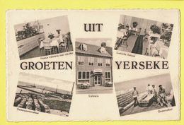 * Yerseke (Zeeland - Nederland) * (Nels, Sparo, Uitg, N.P. Oele) Groeten Uit Yerseke, Oester, Cafétaria, Rare - Yerseke