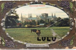 ANGLETERRE : Peterborough Cathédral - Other & Unclassified