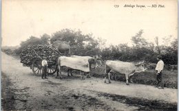 FOLKLORE  -- AU PAYS BASQUE -- Attelage Basque - N° 179 - Autres & Non Classés