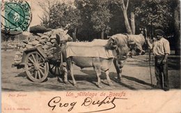 FOLKLORE  -- AU PAYS BASQUE -- Un Attelage De Boeufs - Altri & Non Classificati