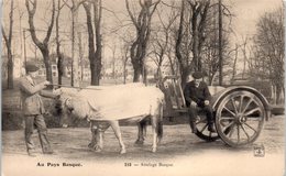 FOLKLORE  -- AU PAYS BASQUE -- Attelage Basque - N° 218 - Autres & Non Classés