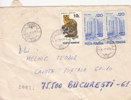 60120- PINE MARTEN, HOTELS, STAMPS ON COVER, 1995, ROMANIA - Cartas & Documentos