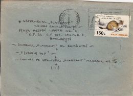 60123- DUMITRU PRUNARIU, SPACE, COSMOS SPECIAL POSTMARK ON COVER, STOAT STAMP, 1997, ROMANIA - Covers & Documents