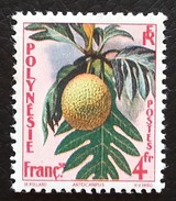 POLYNESIE - YT N°13 - Flore / Artocarpus - 1958 - Neuf - Unused Stamps