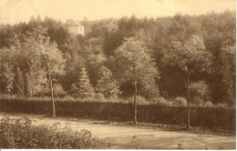 Nassogne. Vue Panoramique De L'Hôtel Du Parc - Nassogne