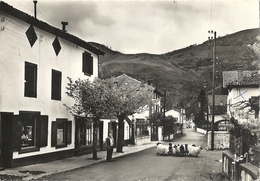 CPSM Les Aldudes Quartier Cherrenda Fronton Plaza Berri - Aldudes