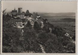 Regensberg - Totalansicht - Photoglob No. L 01875 - Regensberg