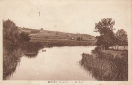 41 - MOREE - Le Loir - Moree