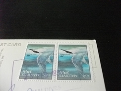 STORIA POSTALE FRANCOBOLLO COMMEMORATIVO UCCELLO BIRD MALDIVES THE LOST REFUGE - Maldives