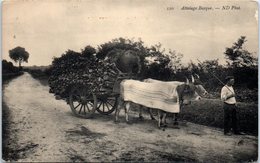 FOLKLORE  -- AU PAYS BASQUE - Attelage Basque - Sonstige & Ohne Zuordnung