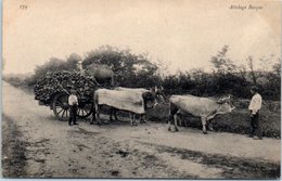 FOLKLORE  -- AU PAYS BASQUE - Attelage Basque - N° 179 - Autres & Non Classés