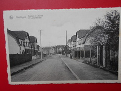 Huizingen :Avenue Saint-Léonard (H2898) - Beersel