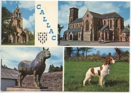 Callac : Ruines Botmel église Cheval Naous épagneul Breton Poull Tro élevage Kéraniouan - Callac