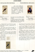 Andorre-1981-document De La Poste- Oiseaux( N°3) - Lettres & Documents